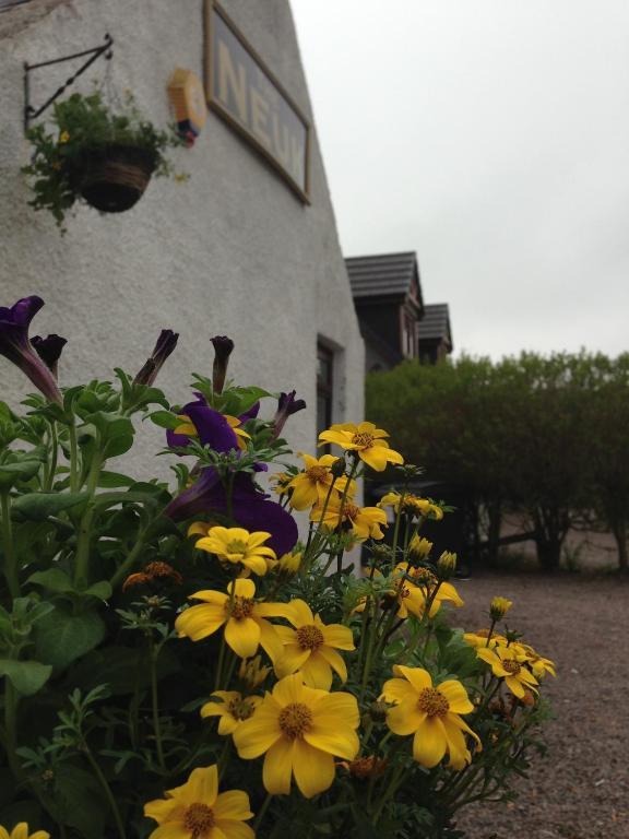 Hotel The Neuk Portlethen Exterior foto